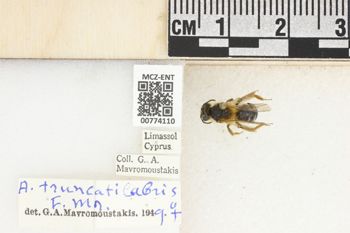 Media type: image;   Entomology 774110 Aspect: Labels
